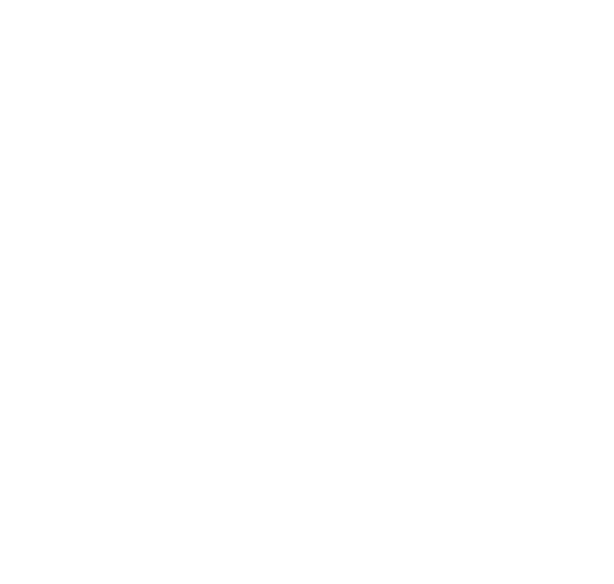 Company Type
